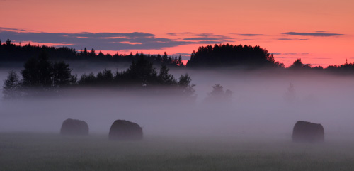 http://www.looduseomnibuss.ee/sites/default/files/AU500px/Noored-looduspildid/ff40df80-2577-11df-9f7d-000ae47e58a6.jpg
