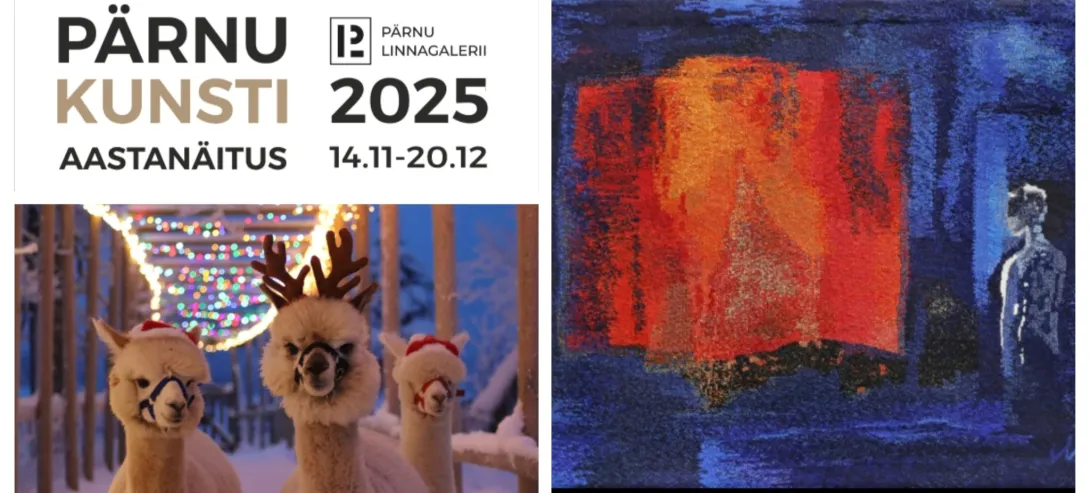 Kultuuriretk Pärnu Uue Kunsti Muuseumisse, Linnagaleriisse,Eliisabethi kirikusse ja Aresse alpakasid vaatama